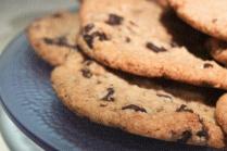 chocolate chip cookies